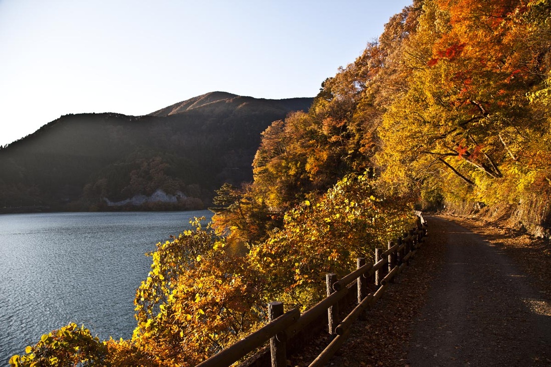 lake and autumn colours