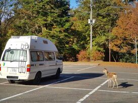 Toyota Hiace Petit Nara Camping
