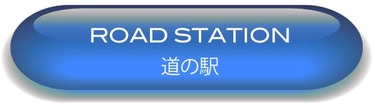 Road Station Button