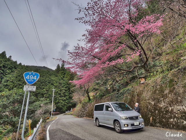 Sakura and Mazda Bongo campervan